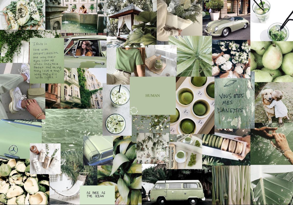 Featured image of post Aesthetic Wallpaper Sage Green Aesthetic Collage