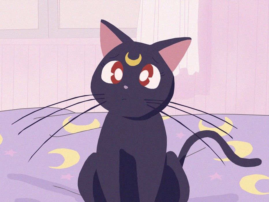 Featured image of post Anime Sailor Moon Black Cat