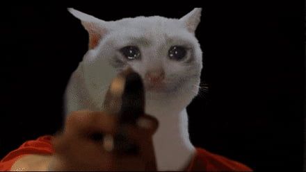 Featured image of post Crying Cat Gif Images