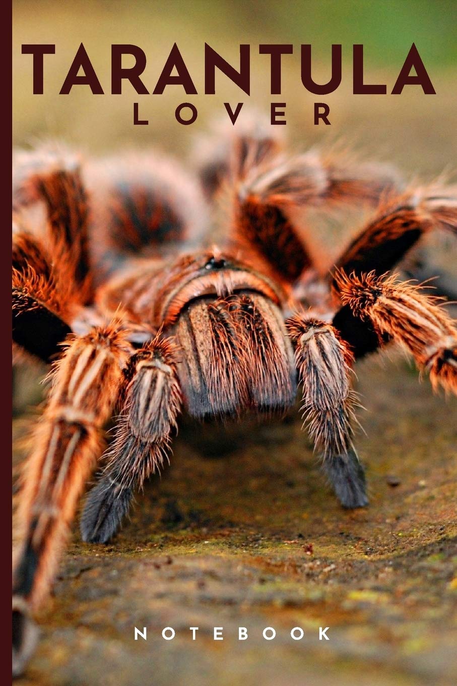 Featured image of post Cute Tarantula Pics