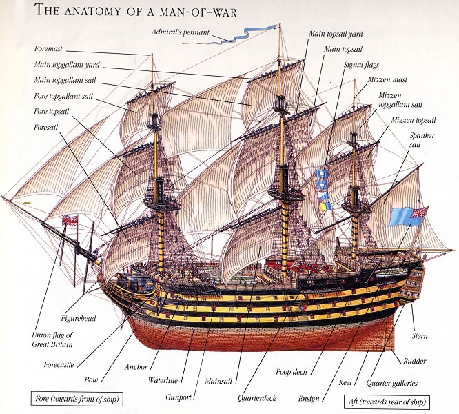 Featured image of post Man Of War Ship Layout