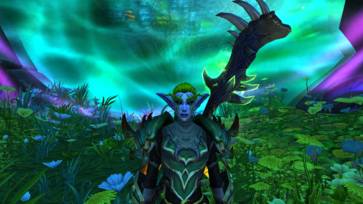 Featured image of post Night Warrior Night Elf