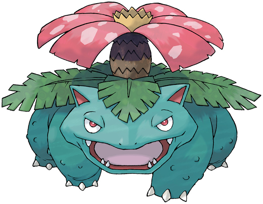 Featured image of post Pictures Of Venusaur