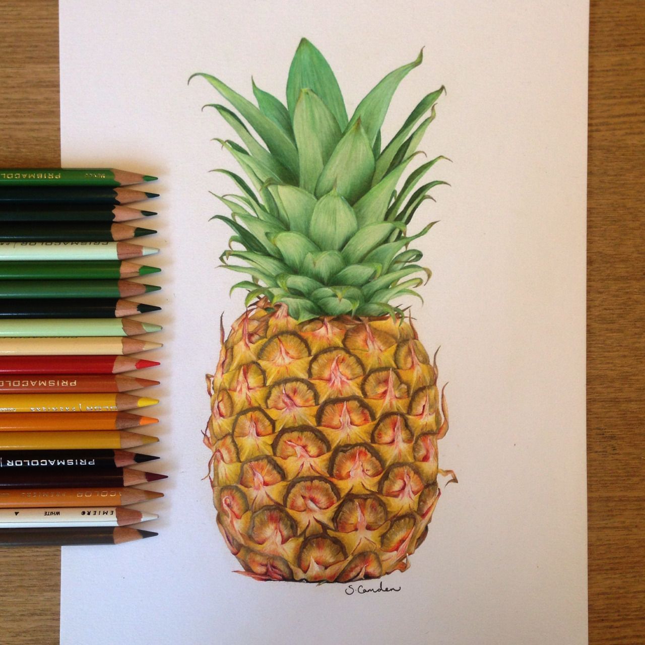 Featured image of post Pineapple Sketch Color