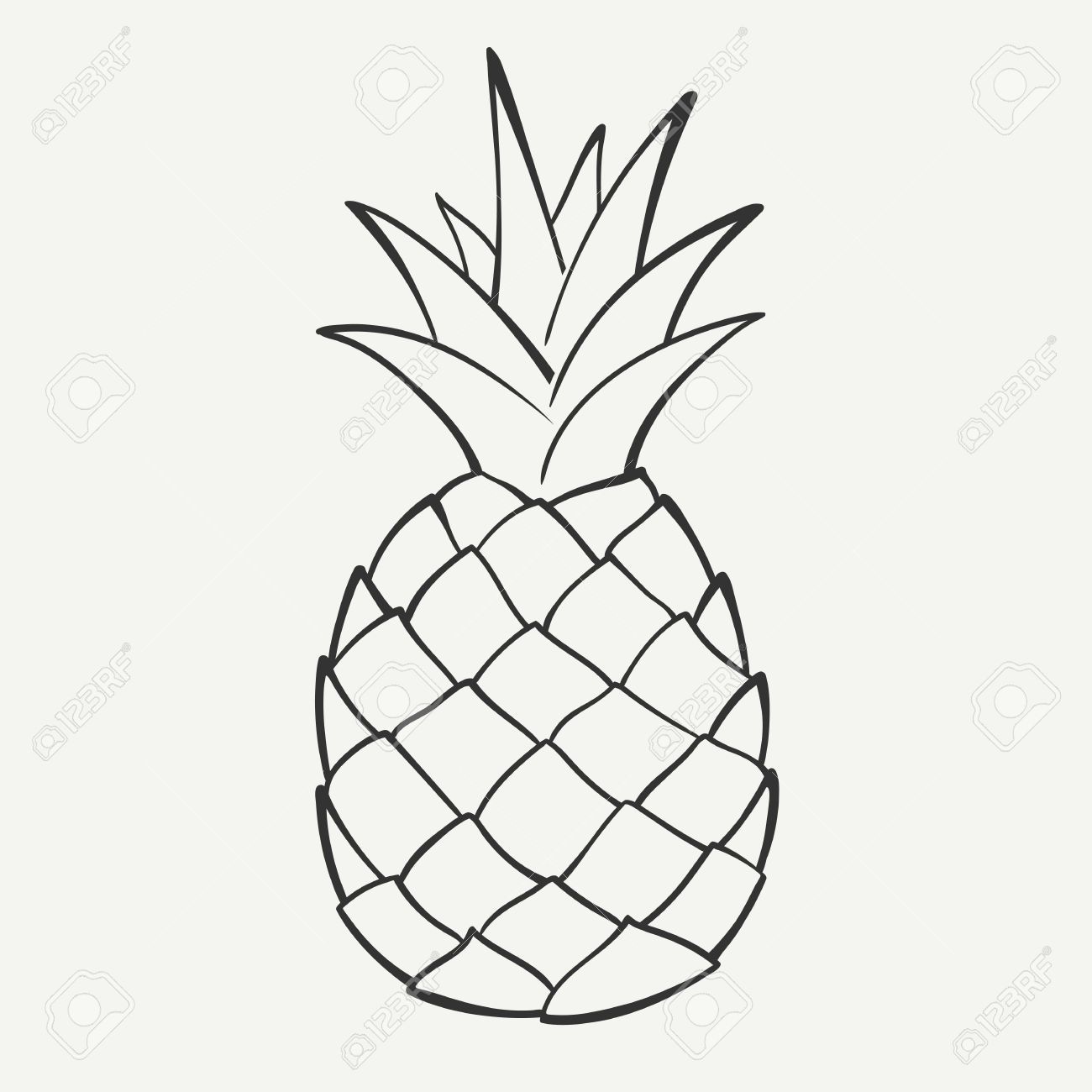 Featured image of post Pineapple Sketch Drawing