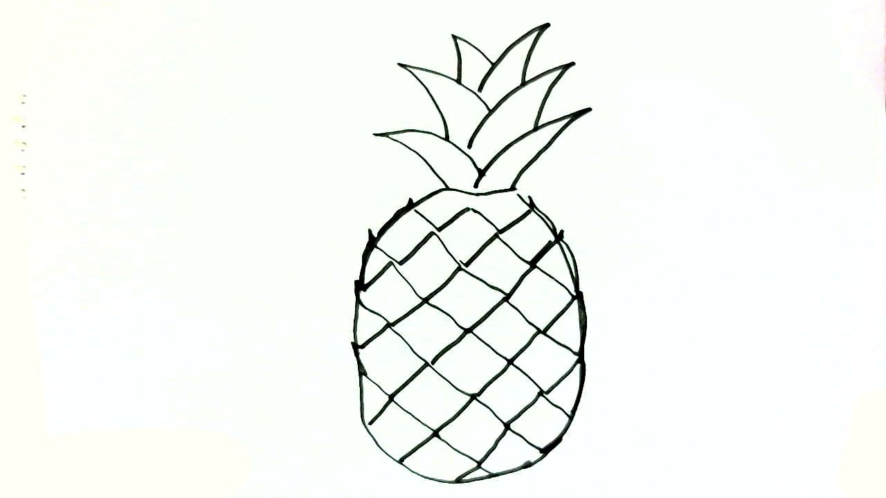 Featured image of post Pineapple Sketch For Kids