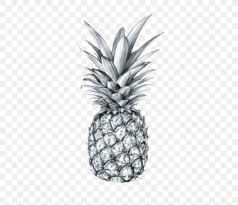 Featured image of post Pineapple Sketch Png