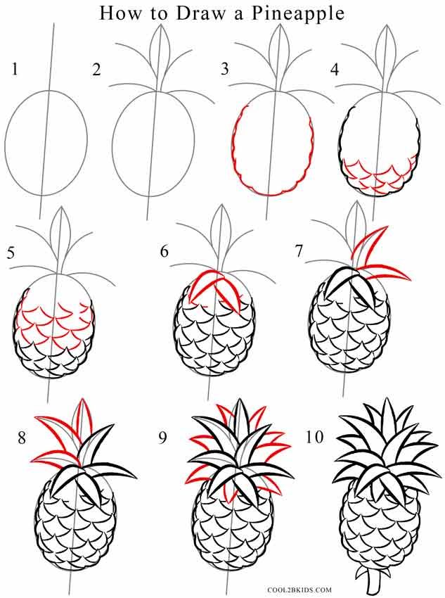 Featured image of post Pineapple Sketch Step By Step