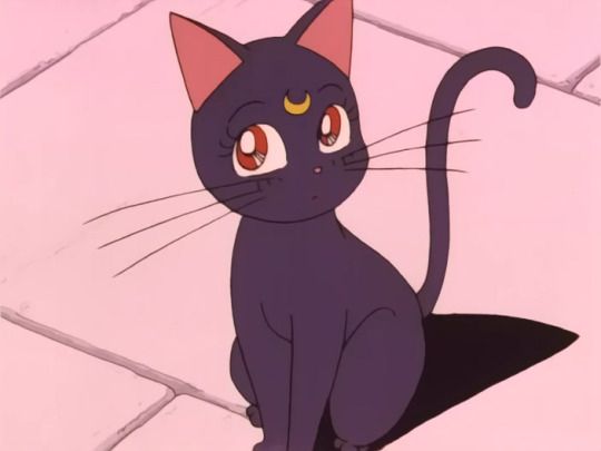 Featured image of post Sailor Moon Black Cat Gif