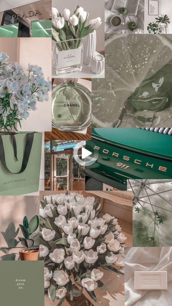 Featured image of post Wallpaper Sage Green Aesthetic Sage Aesthetic